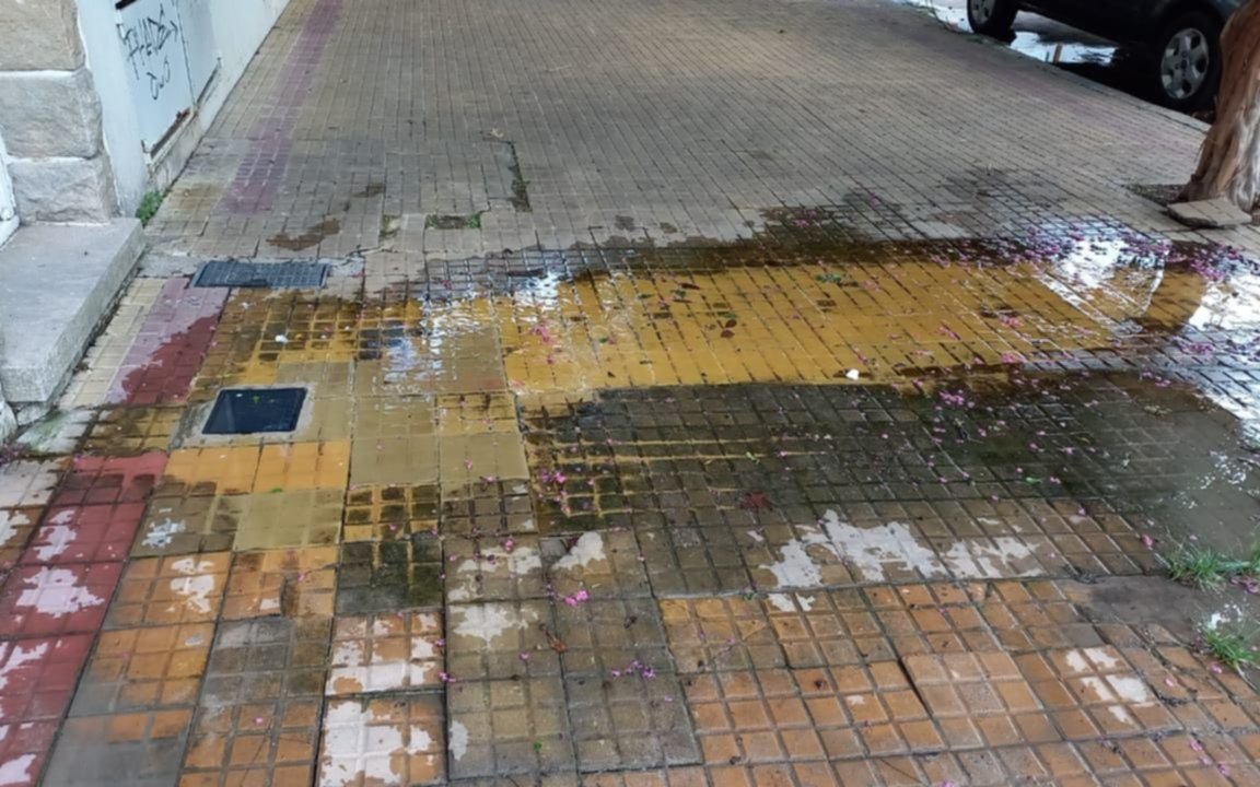 Vecinos reclaman por importante pérdida de agua en Barrio Norte