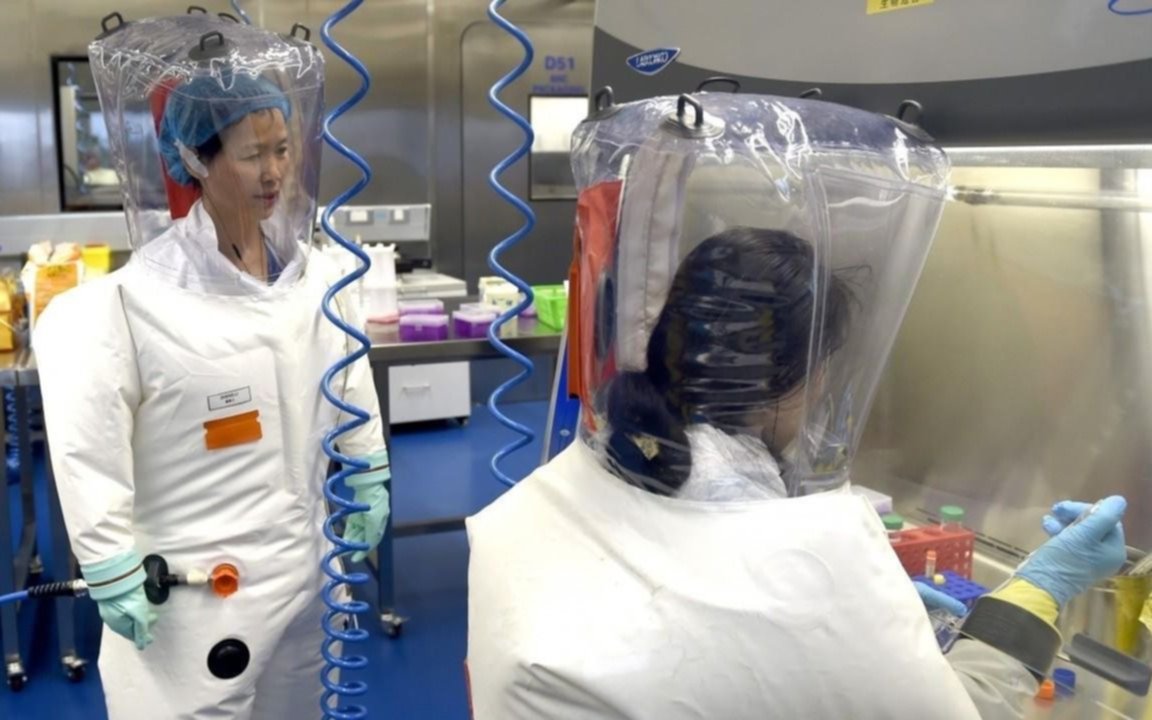 En Wuhan crearon ocho virus similares al coronavirus, dos contagiosos para los humanos