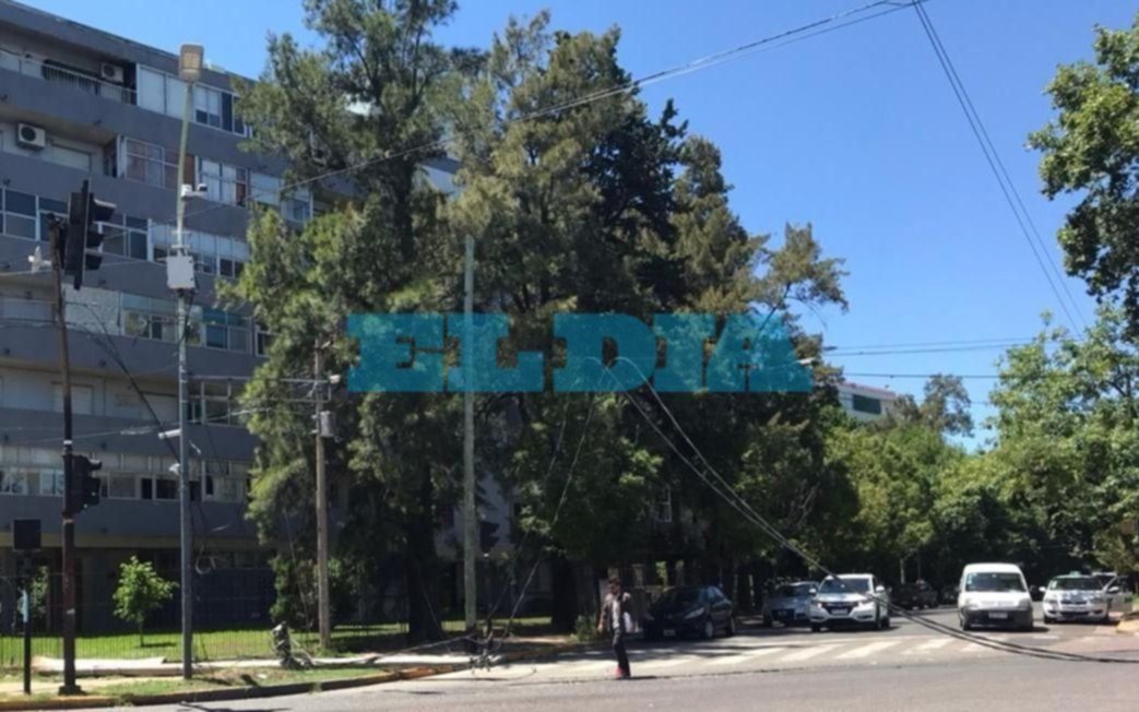 Micro de larga distancia arrastró el cableado público en diagonal 80  y 116: "Es un peligro"