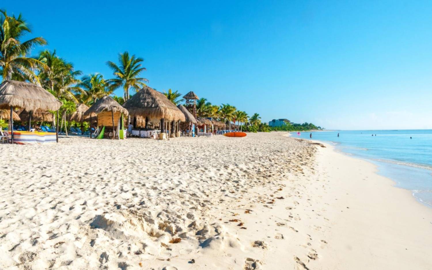 Crimen del argentino en Playa del Carmen: ordenan detención de seis integrantes de cartel narco