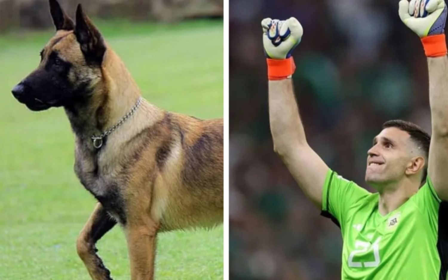 "Dibu" Martínez y la importancia de sentirse seguro: se compró un perro que vale ¡20.000 euros!
