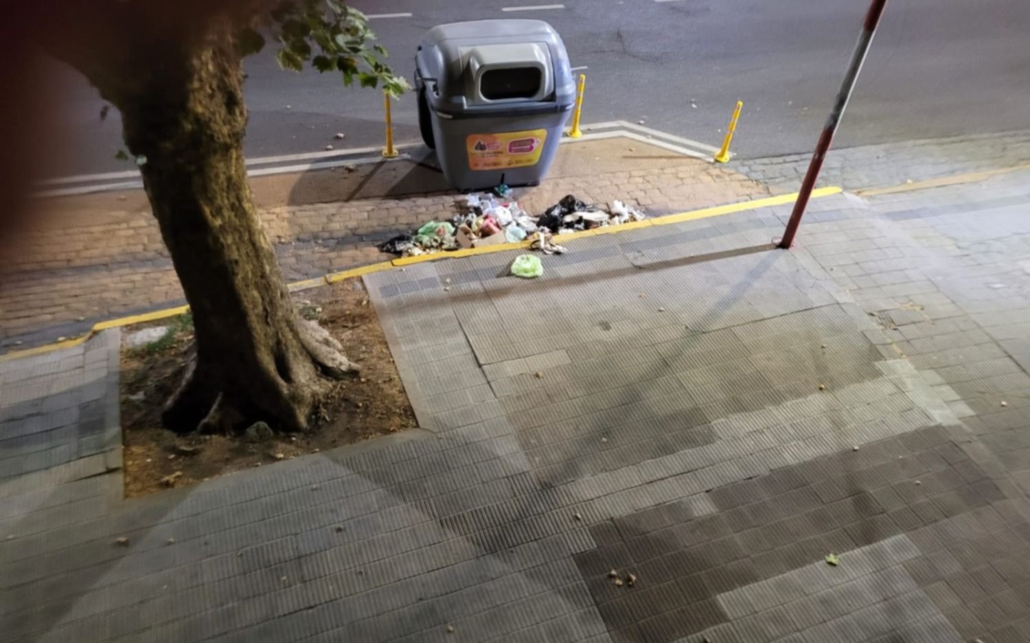 Reclamo vecinal por un contenedor en 1 entre 54 y 55