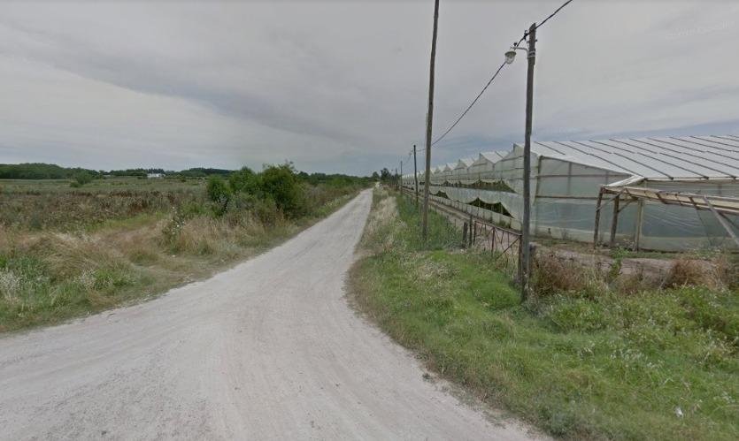 Regaba las flores del jardín y sufrió un millonario robo