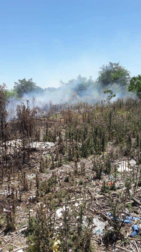 Alarma por nuevos incendios en campos de la Ciudad