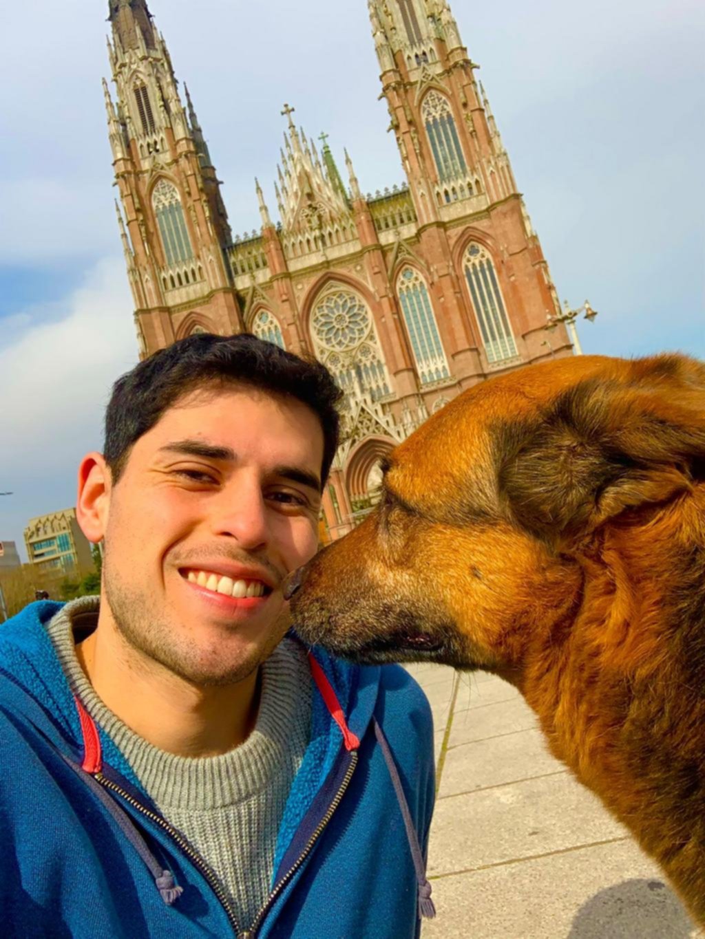 Un platense creó una plataforma digital para encontrar mascotas perdidas