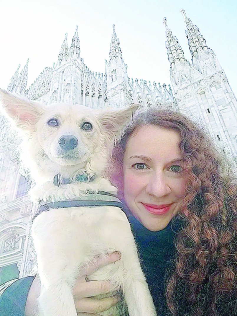Tips para viajar con perros