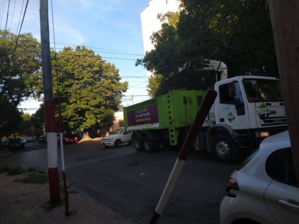 La grúa entre las ramas en la zona de Parque Saavedra