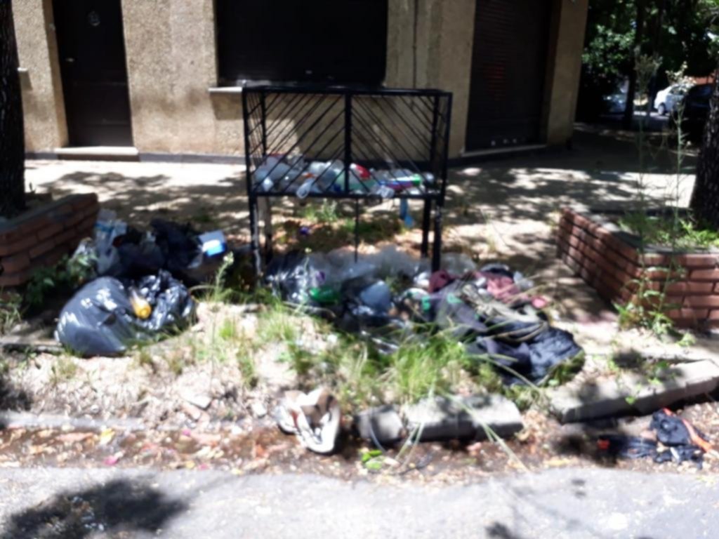 Basural a cielo abierto en la esquina de 56 y 24 desata reclamos vecinales