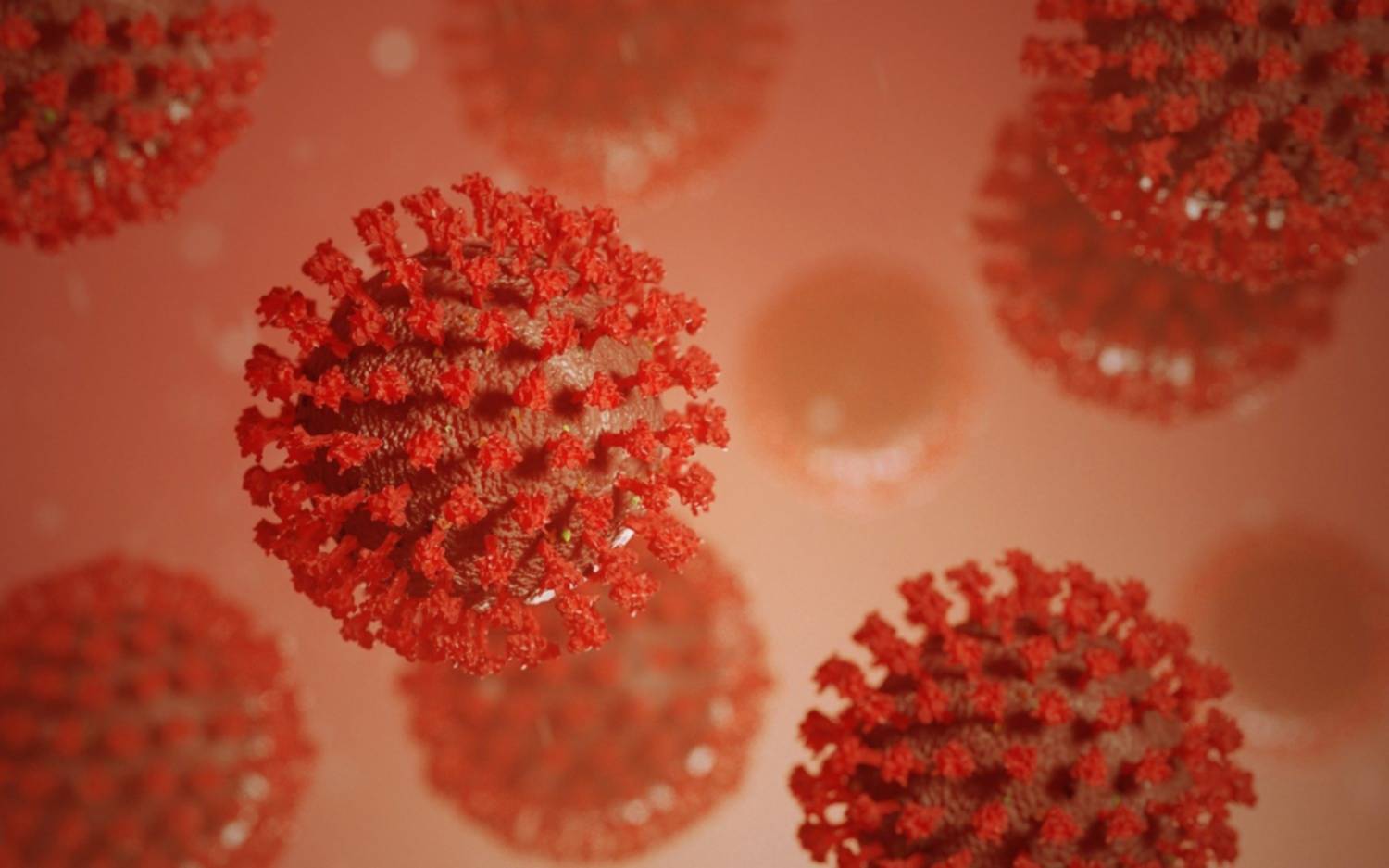 Científicos desarrollan una vacuna que protege al cerebro de daños generados por el coronavirus