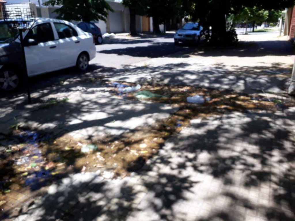 El drama que vive un sinfín de familias por la reiterada falta de agua