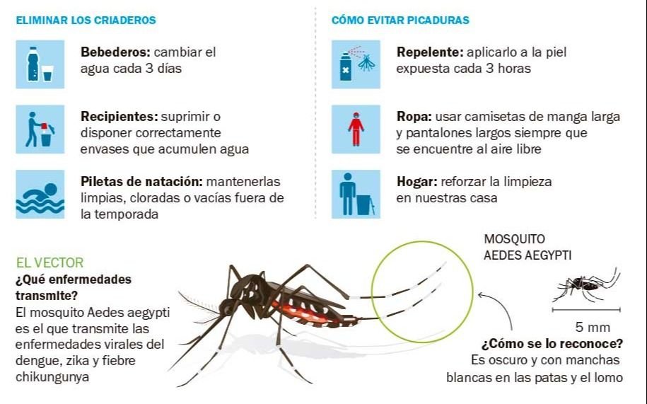 Intensifican medidas para evitar casos de dengue