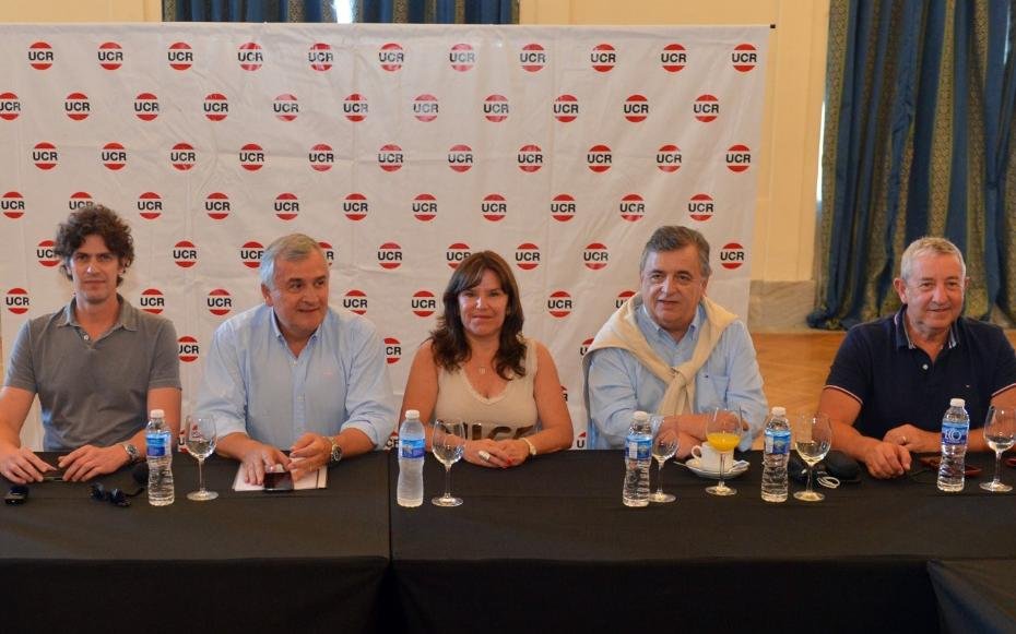 Una cumbre radical que apuntó a la unidad pero con varios ausentes