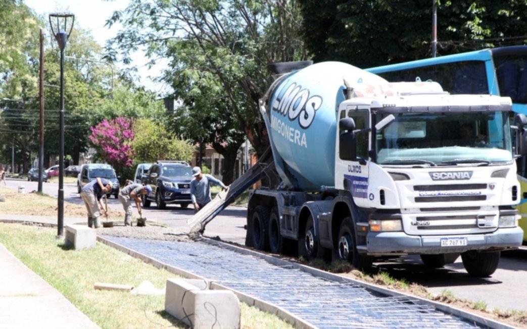 Construirán un parque lineal sobre una de las principales avenidas de La Plata