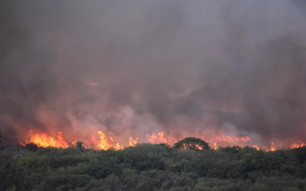 Se incendia la Reserva Ecológica: Bomberos combaten las llamas