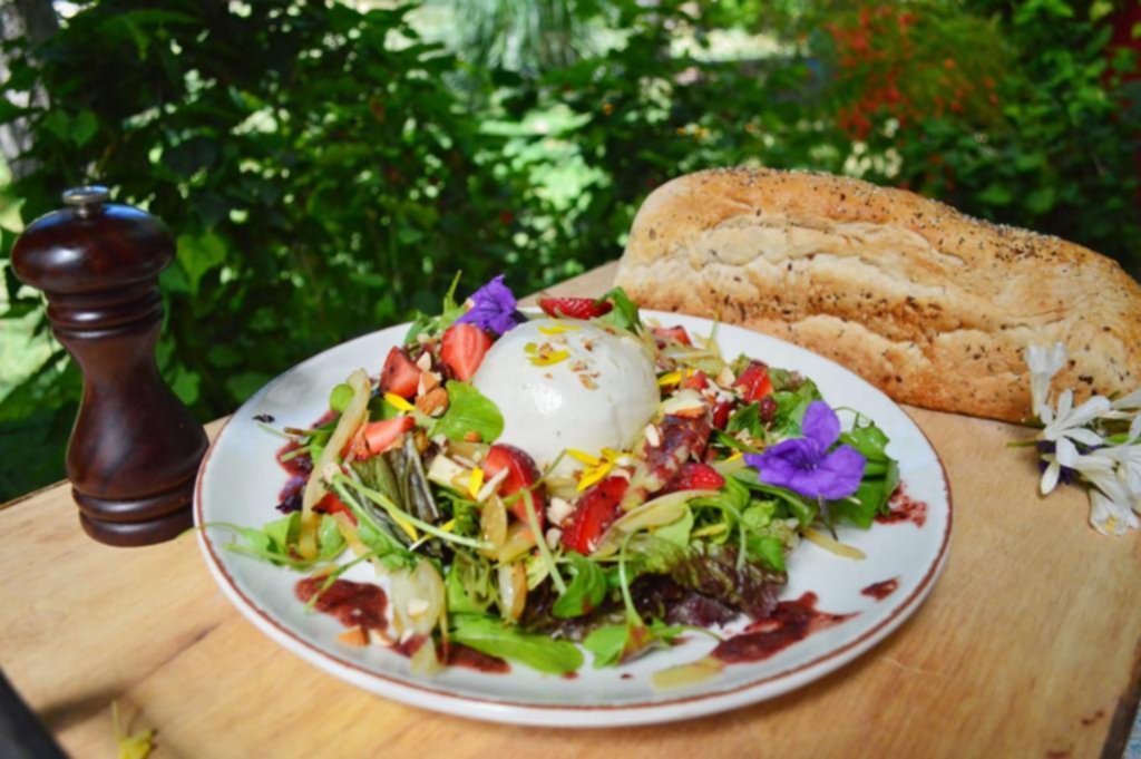 Ensalada de burrata, hinojos y frutillas