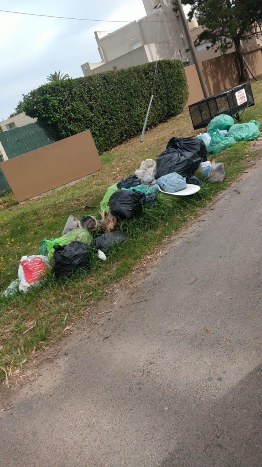 Reclamo por falta de recolección en Villa Elisa