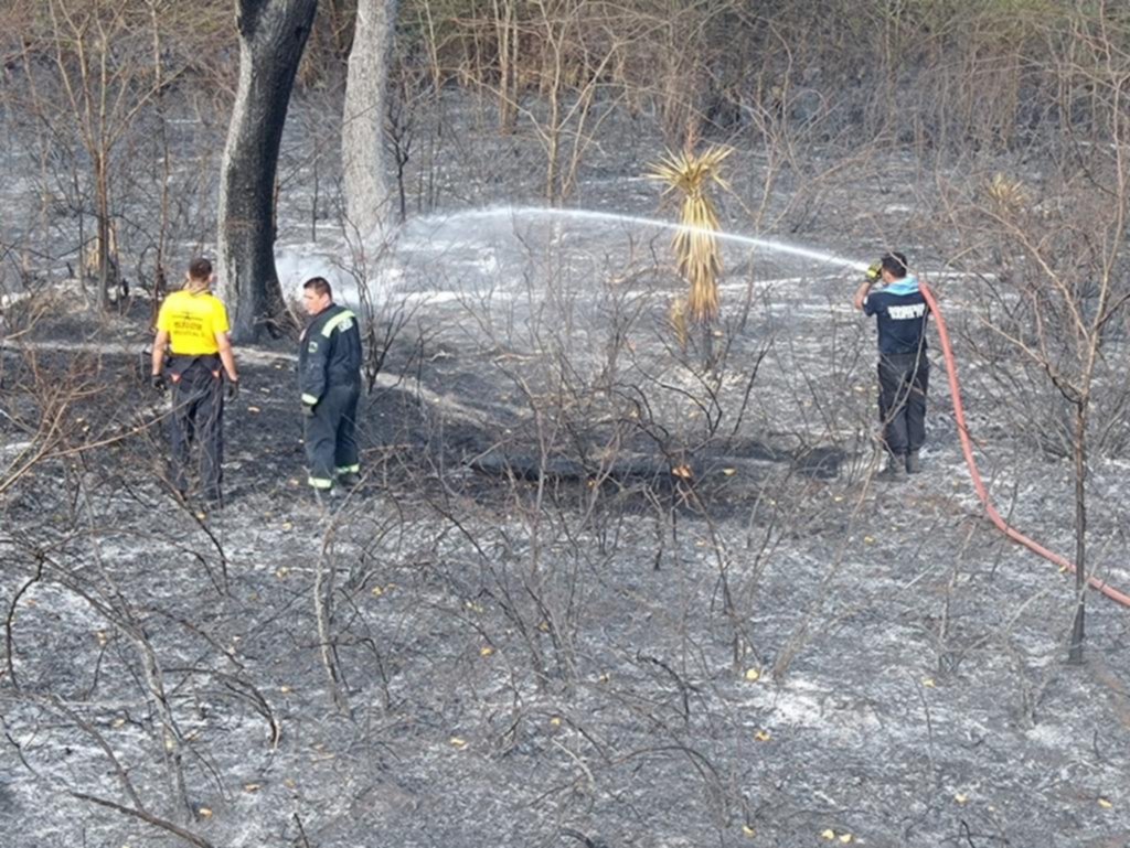 Arrancó la “temporada alta” de incendios rurales