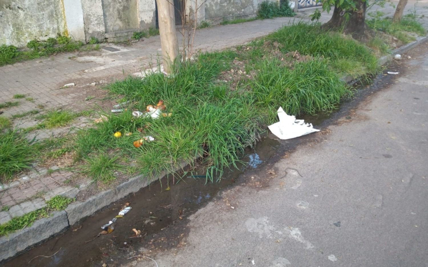 Una pérdida de agua preocupa a los vecinos de un barrio platense