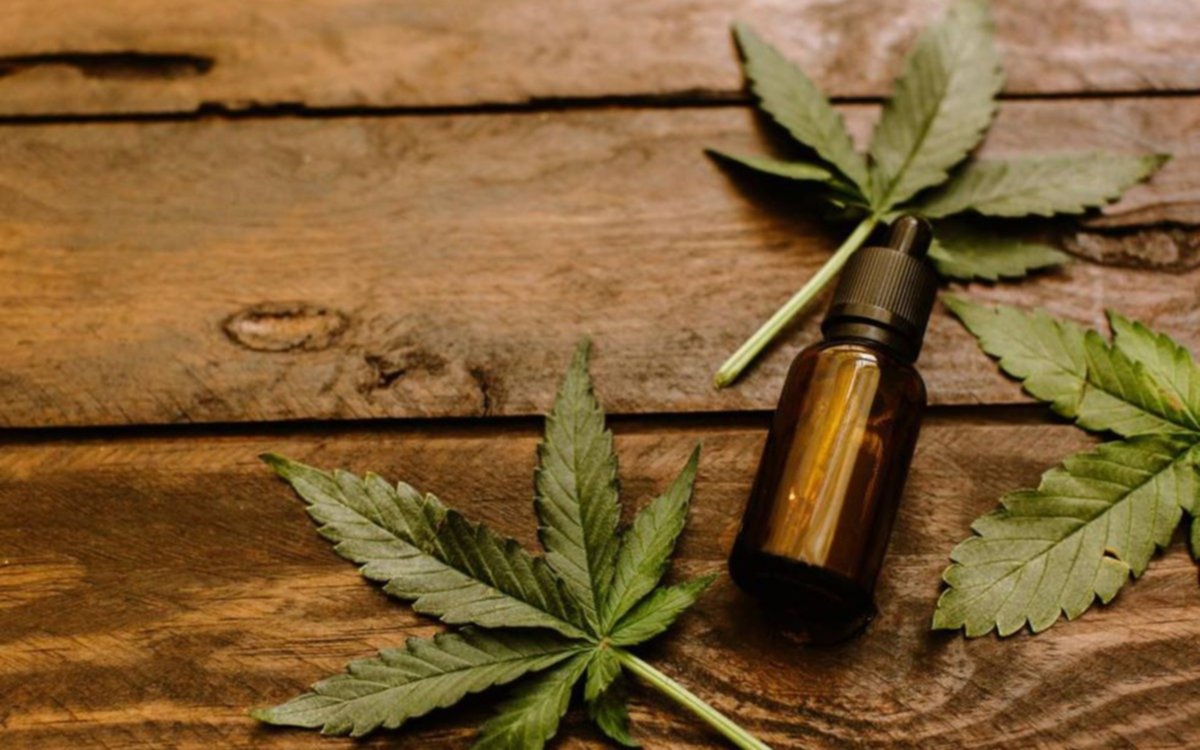 Se llevará a cabo la exposición "Costa Cannabis" en Mar del Plata