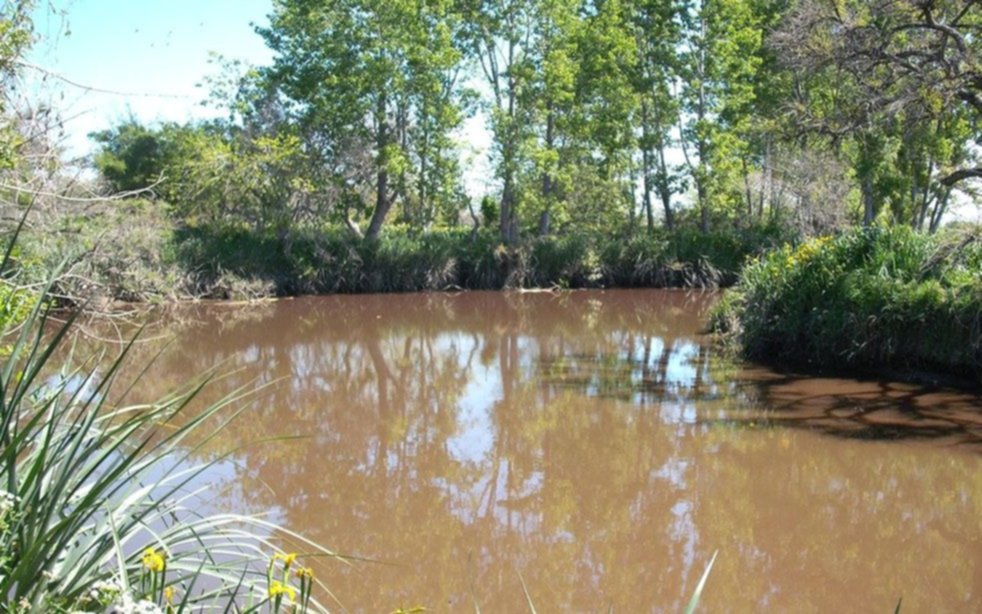 Se ratificó la prohibición de construcciones privadas en el humedal del Arroyo El Pescado
