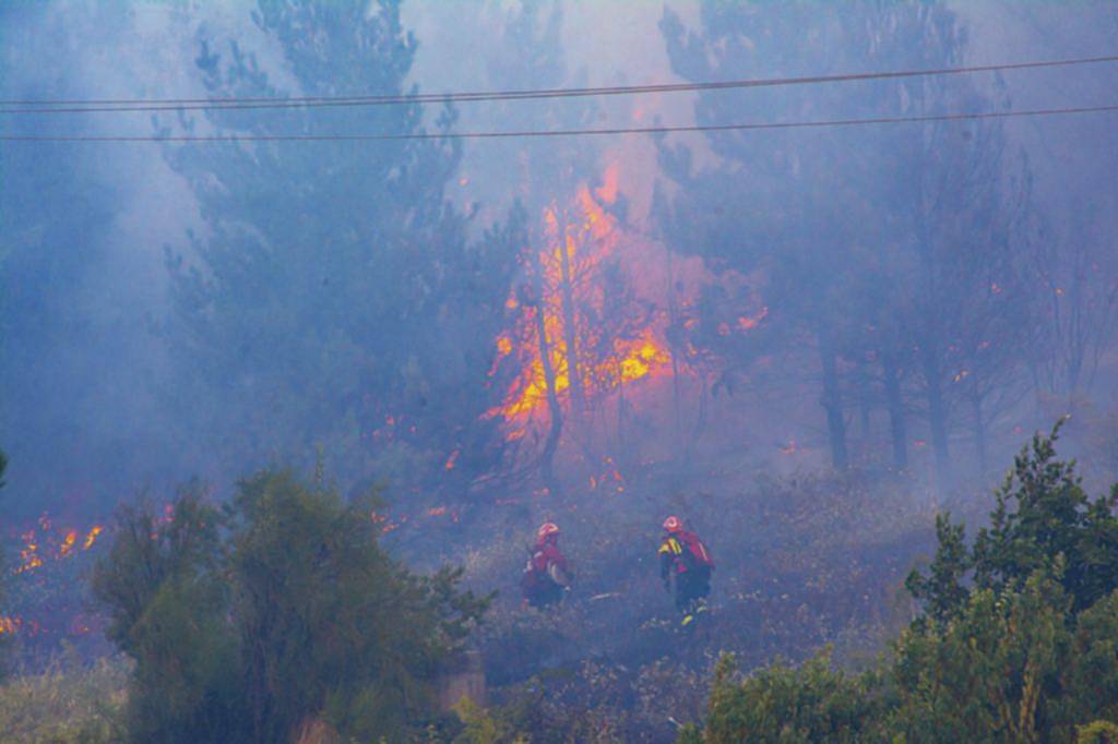 La Resistencia Ancentral Mapuche se adjudicaría el incendio en Chubut