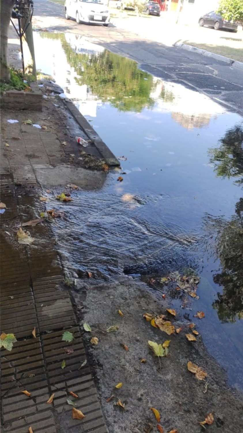 Barrio Norte: avería en la calle y canillas a cuentagotas en los hogares