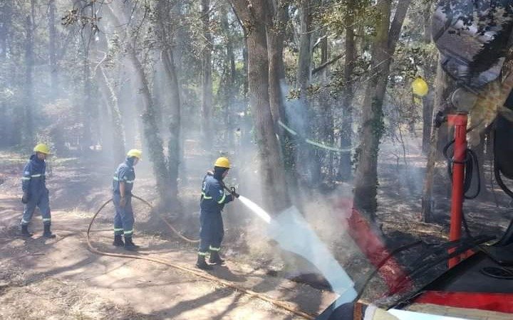 El fuego tiene en alerta a la Región: otra vez el Parque Pereyra, donde las llamas consumieron varias hectáreas