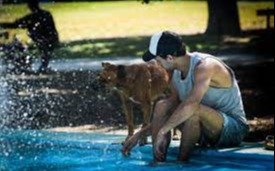Ola de calor: a cuánto llegó la temperatura en La Plata y cuándo llegaría el alivio