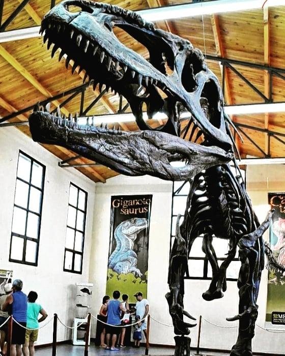 El camino de los frutales y las huellas de los dinosaurios