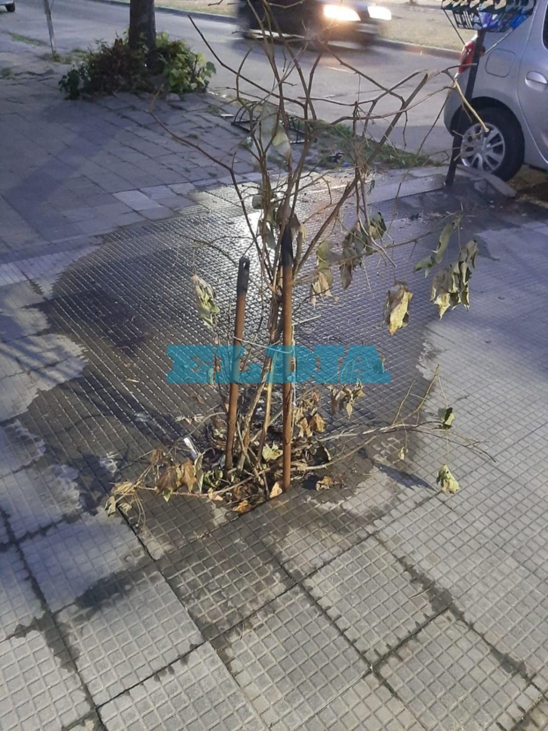 Noche y día: la pérdida de agua que no tiene fin y que "llegó" hasta Lituania     