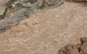 Gran pérdida de agua preocupa a los vecinos de la zona del bosque platense