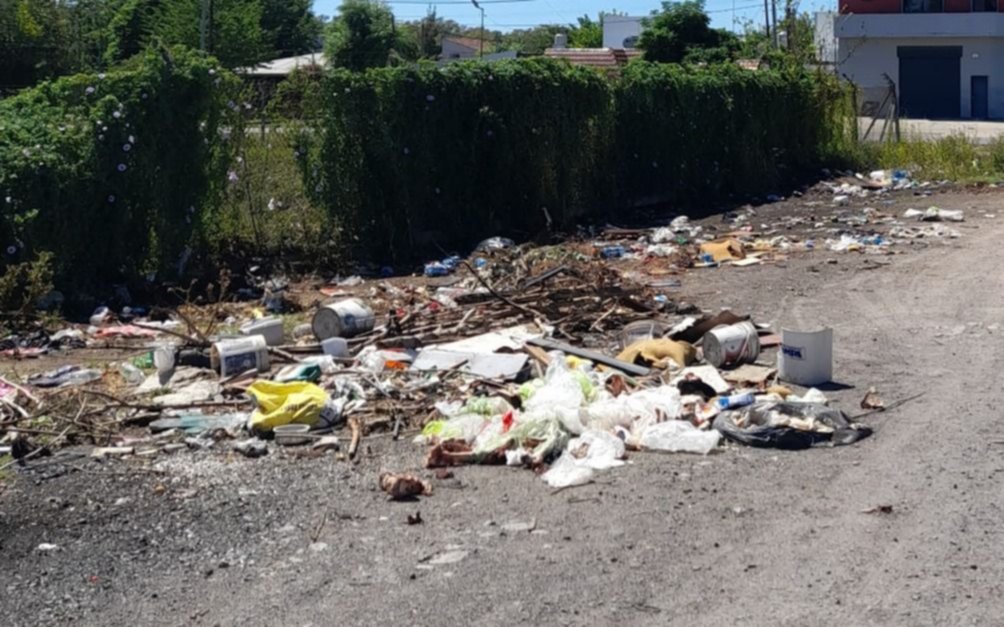 Impresionante basural pone en riesgo la vida de los vecinos: "Hay hasta perros muertos"