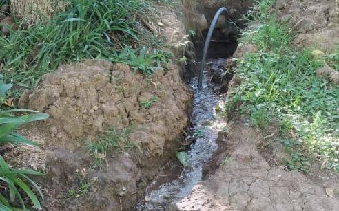"No tenemos presión de agua", el reclamo de los vecinos de 50 y 3 ante una gran pérdida