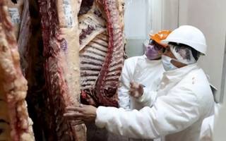 Schiariti: "La carne vacuna sigue siendo el alimento proteico más barato, pese a los nuevos aumentos"
