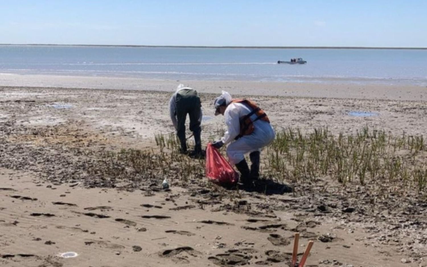 Derrame de petróleo en Bahía Blanca: el informe de la empresa Oiltanking Ebytem