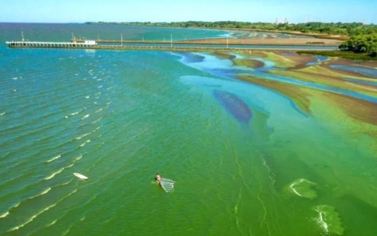 Se mantiene el Alerta Roja por cianobacterias en la Provincia de Buenos Aires: el mapa actualizado