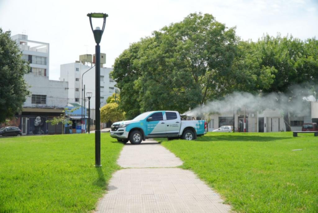Dengue: el Zoo y el Cementerio, dos áreas de propagación del mosquito
