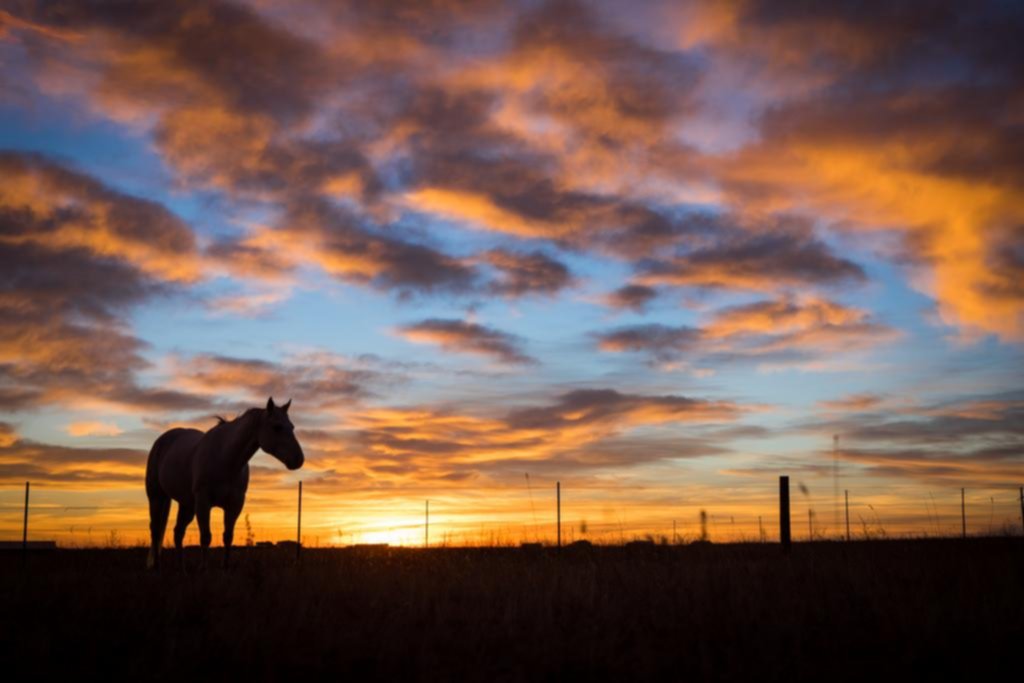 La esperanza que no deja de amanecer en la Argentina