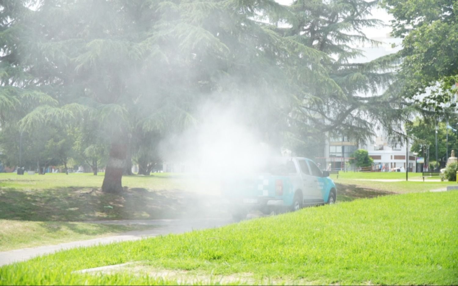 Los mosquitos no aflojan y sigue la fumigación en los barrios platenses 