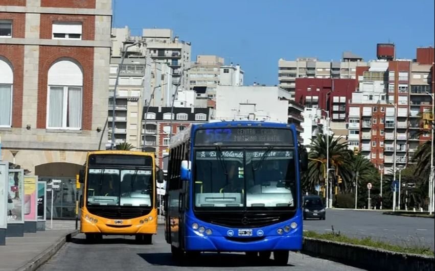 Un paro de choferes en Mar del Plata complica a los turistas en plena temporada