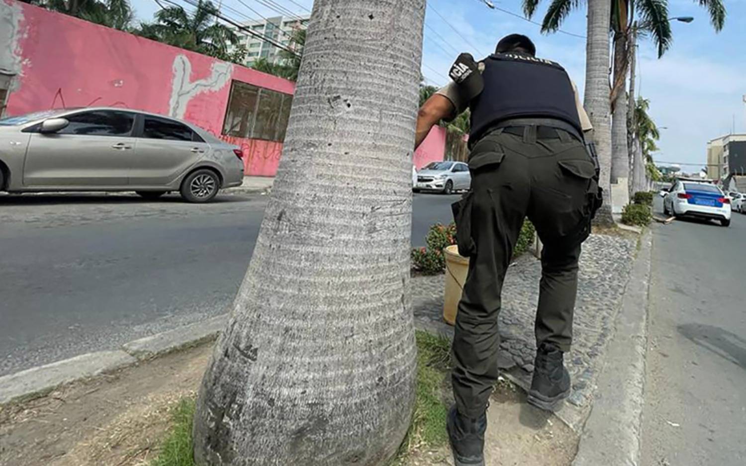 Qué pasa en Ecuador hoy: tensión, miedo y grupos armados en la Tv en vivo
