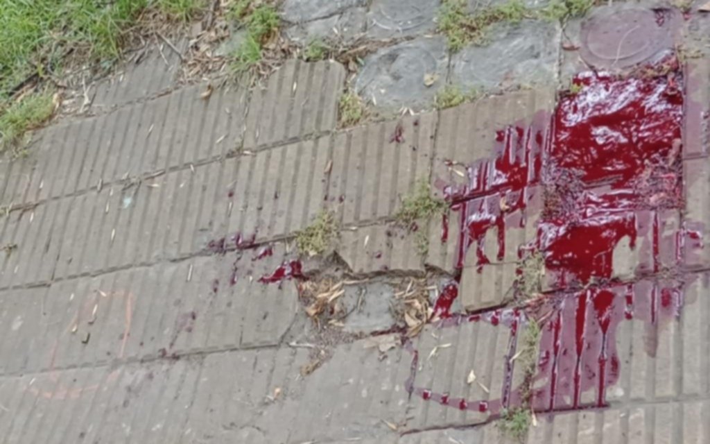 Ya fue liberado: detienen a un menor por el ataque a un hombre en 66 y 28 en un intento de asalto