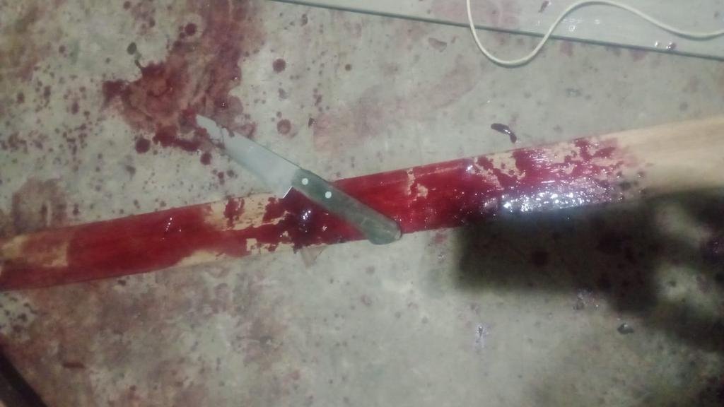 Bestial ataque en una casa de Los Hornos