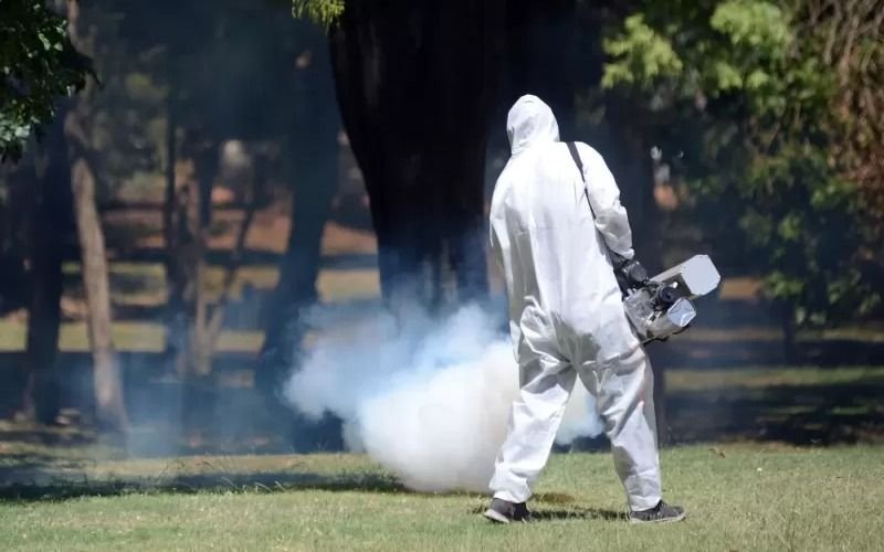 Mosquitos al ataque y nueva jornada de fumigación en La Plata: el mapa barrio por barrio