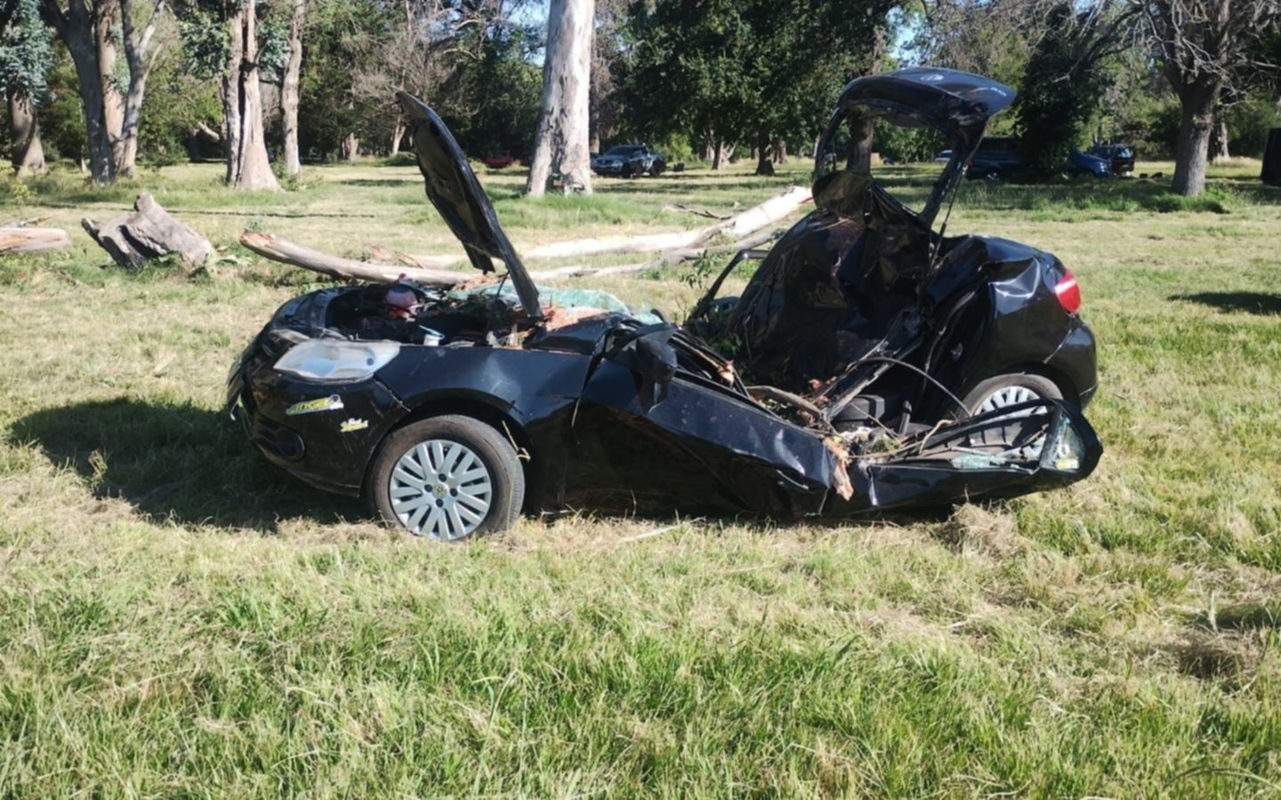 Se cayó un árbol y aplastó un auto en el Parque Pereyra: de milagro no fue tragedia