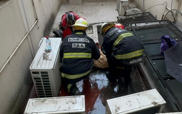 Revuelo en pleno centro de La Plata: un electricista cayó de un edificio y lo internaron de urgencia
