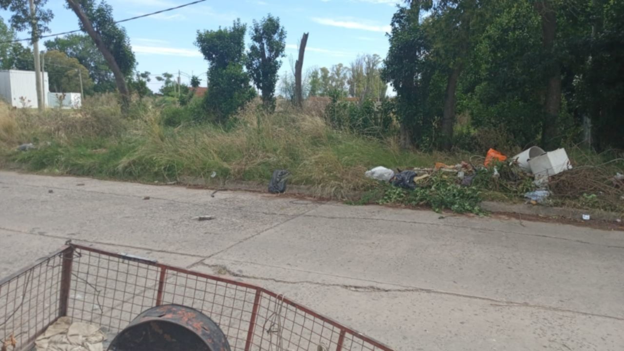 Una luminaria a punto de caerse y un basural infestado de ratas en San Carlos