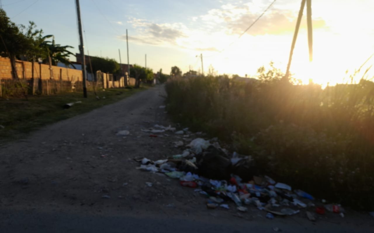Entre pastizales y ratas: así viven los vecinos de una cuadra de Villa Elvira