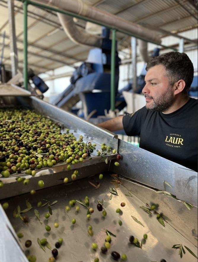 Olivícola Laur, el aceite de oliva argentino tricampeón del mundo