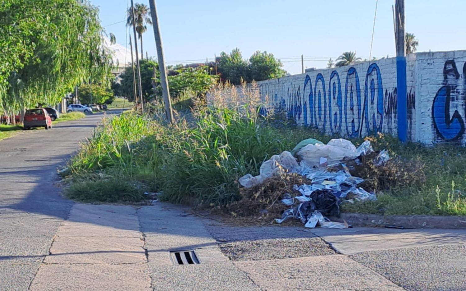 Basura y pastizales, la queja en 27 y 530